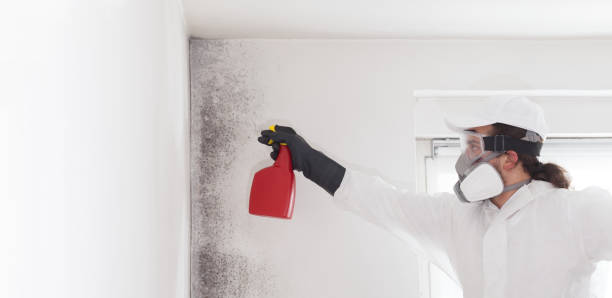 Frederic, WI Mold Remediation Company