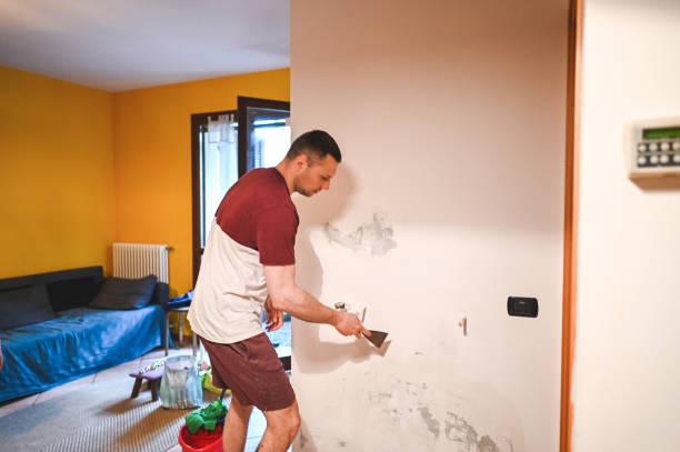 Best Commercial Mold Remediation in Frederic, WI